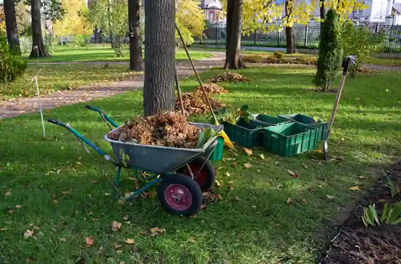 How To Clean A Backyard in Toms River, NJ 