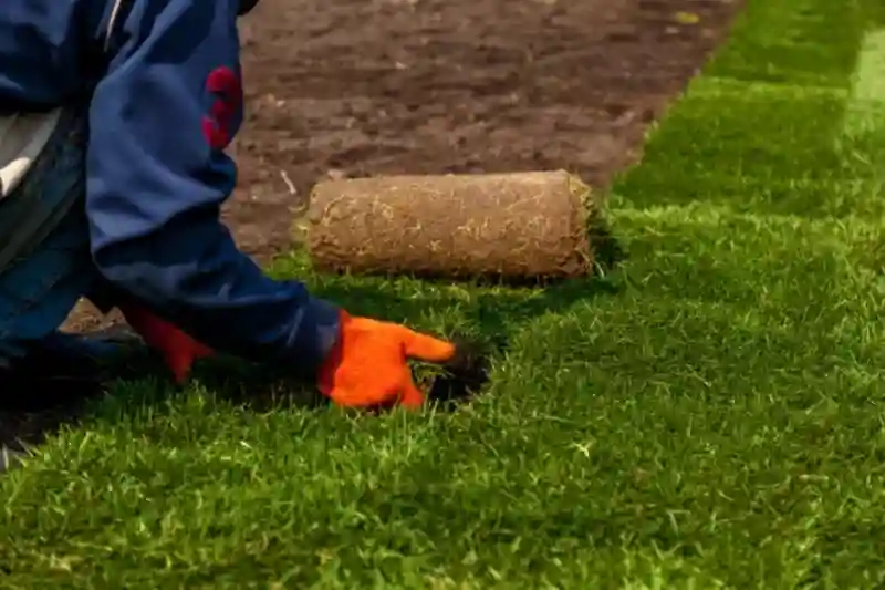 How long after installing sod can you walk on it in Toms River, NJ 