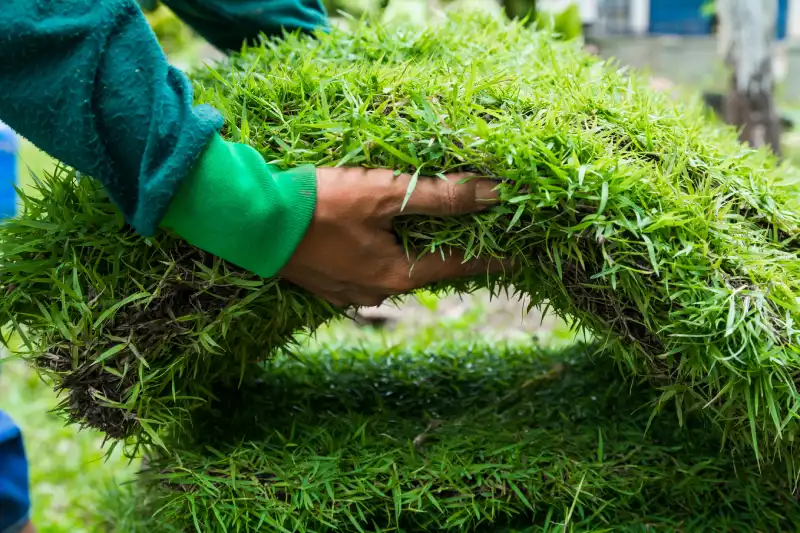 How long after installing sod can you walk on it in Toms River, NJ 