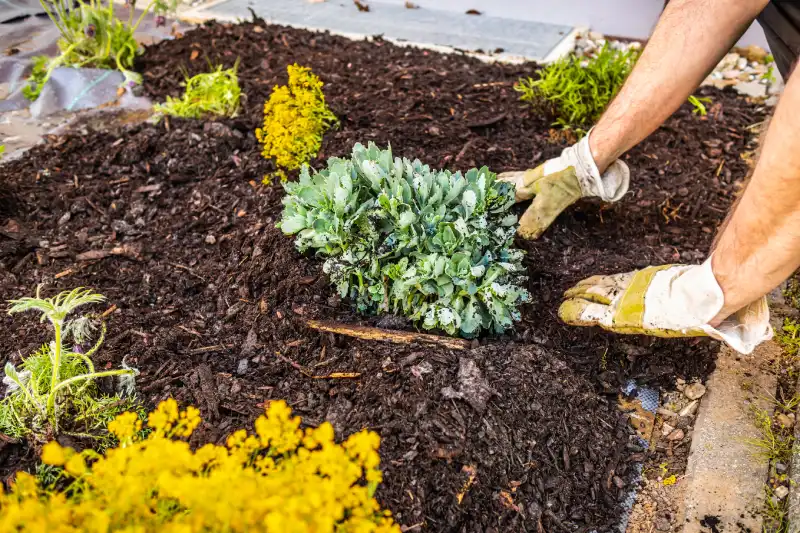 How long does mulch last in Toms River, NJ 