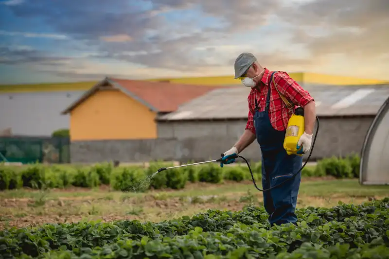 How often should you fertilize your lawn in Toms River, NJ 