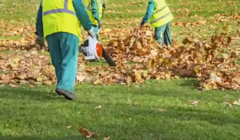 How to clear a yard full of weeds in Toms River, NJ 