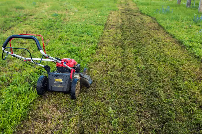 How to Mow a Lawn in Toms River, NJ 