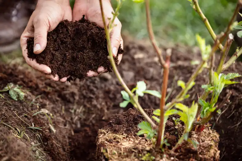 Outstanding Mulching Service in Toms River, NJ 