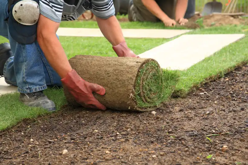 Reliable Sod Installation Service in Toms River, NJ 