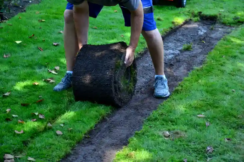 Professional Sod Installation Service in Toms River, NJ 