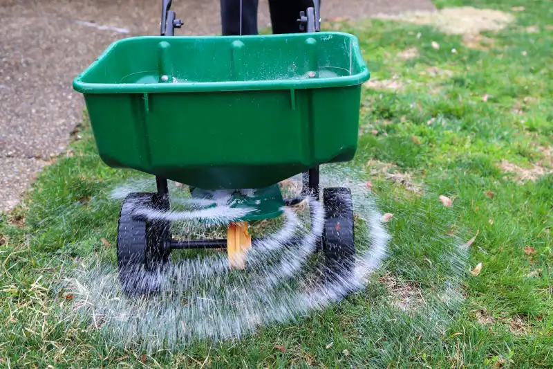 When is the best time to fertilize your lawn in Toms River, NJ 