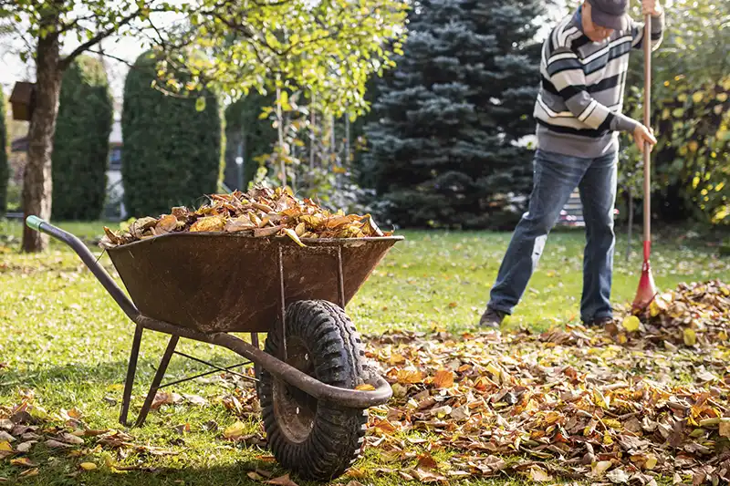 Reliable Yard cleanup Service in Toms River, NJ 