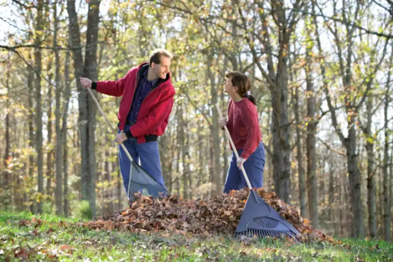 Professional Yard cleanup Service in Toms River, NJ 